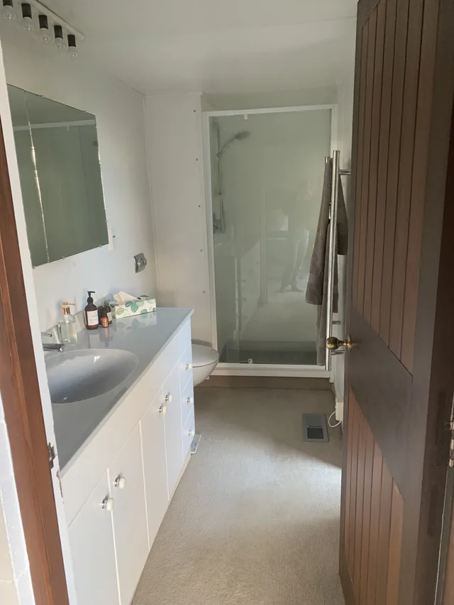 Before: white bathroom with carpet, a white vanity and a framed shower