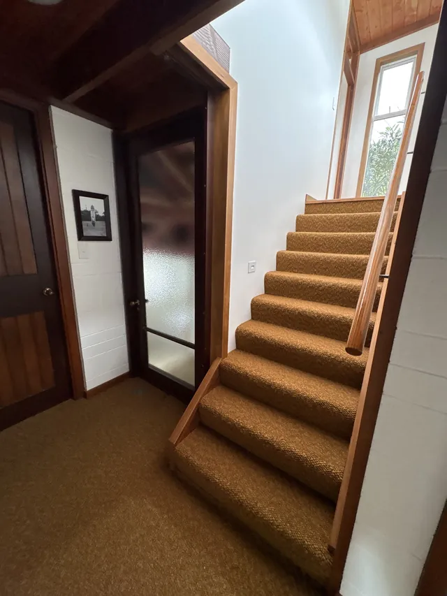 Carpeted stairs with a timber handrail leading up to a window and timber-lined ceiling