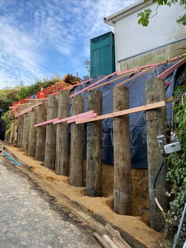 Row of timber poles set along a bank beside a path, with temporary bracing